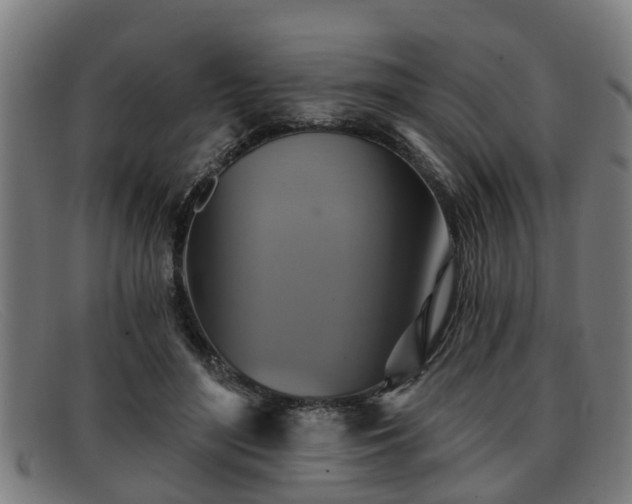 X0000091850500200709121313