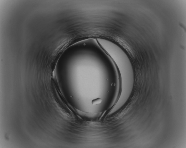 X0000091850501200709121313