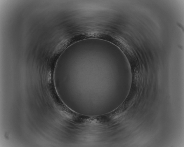 X0000091850502200709121313