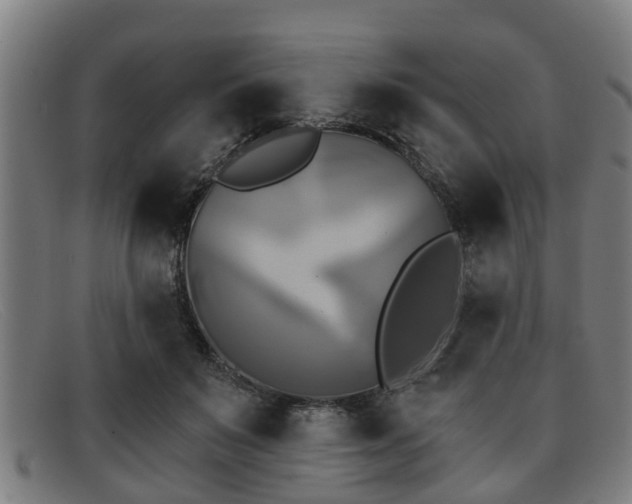 X0000091850503200709121313