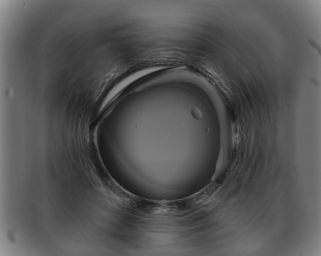 X0000091850504200709121313