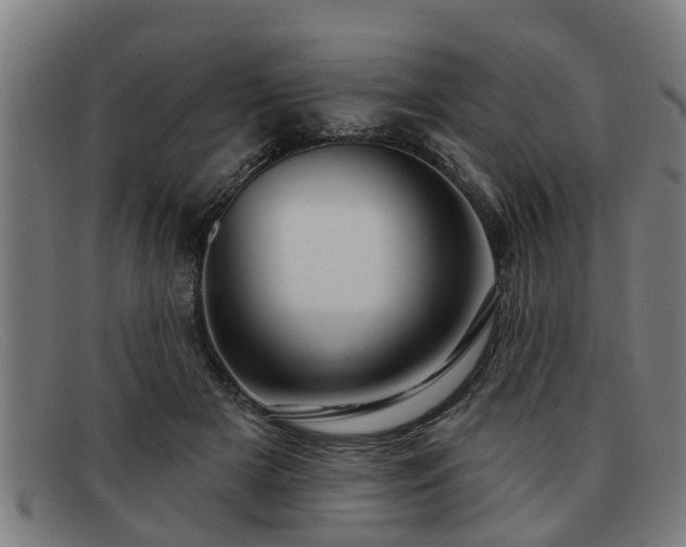 X0000091850505200709121313