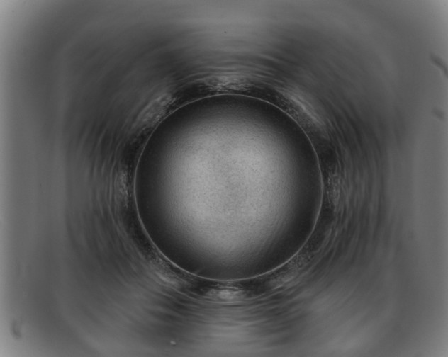 X0000091850506200709121313