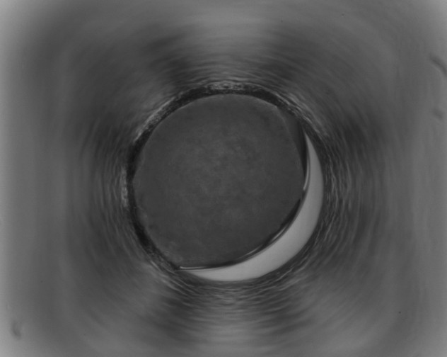 X0000091850508200709121313