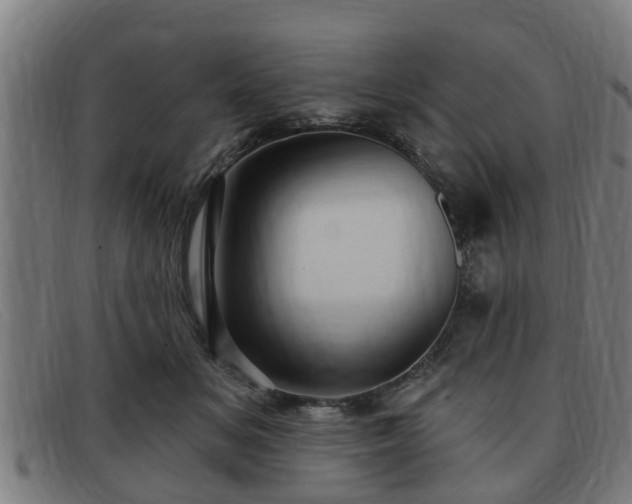X0000091850509200709121313