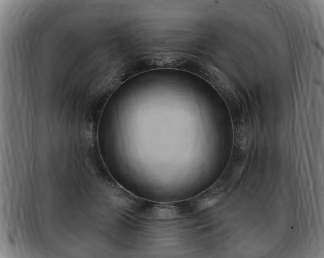 X0000091850510200709121313