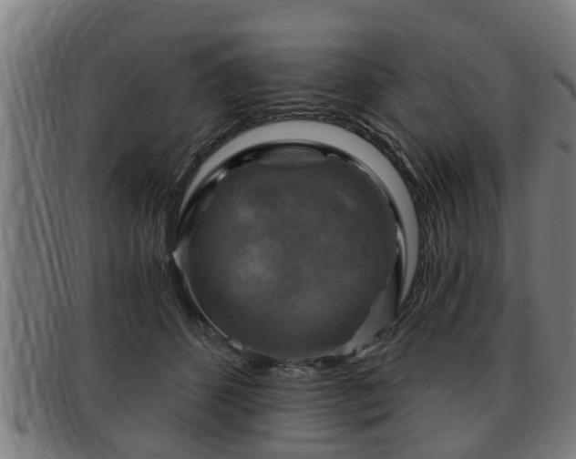 X0000091850512200709121313