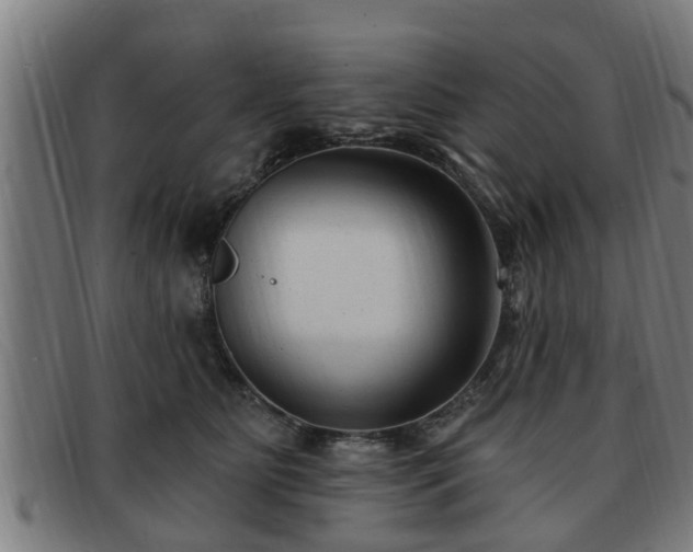 X0000091850515200709121313
