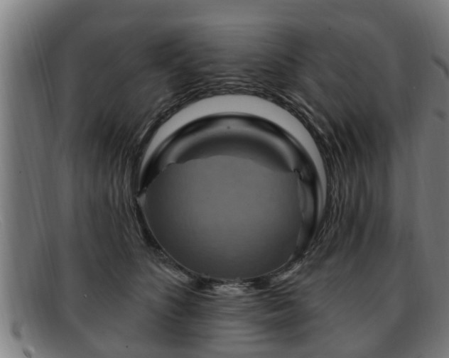 X0000091850516200709121313