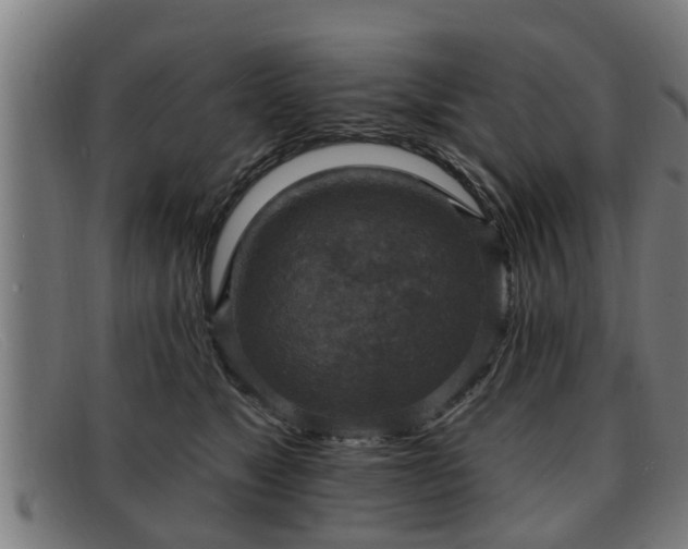 X0000091850517200709121313