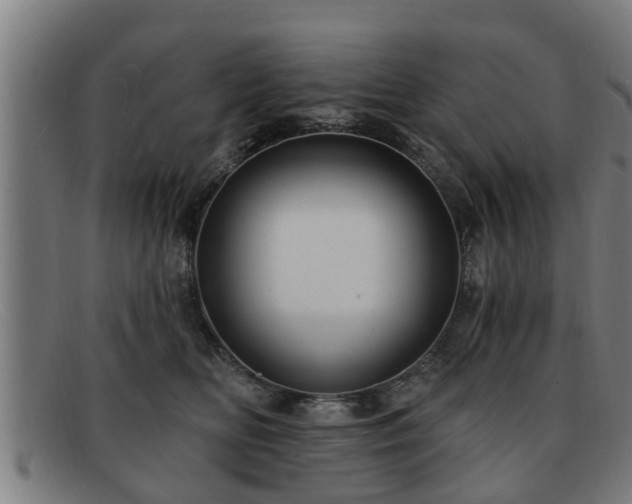 X0000091850518200709121313
