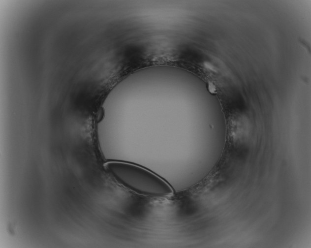 X0000091850519200709121313