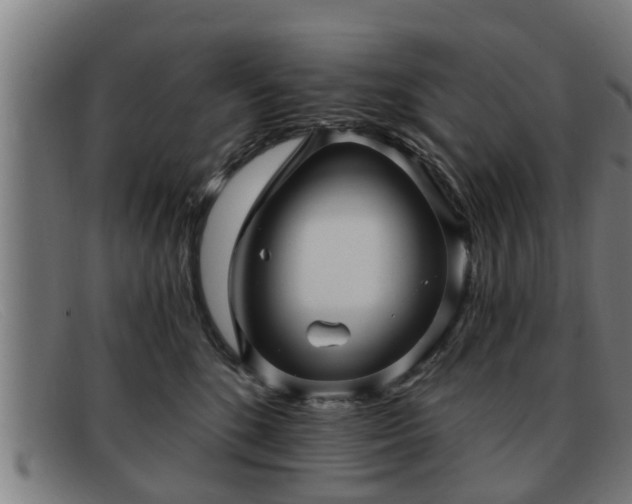 X0000091850520200709121313