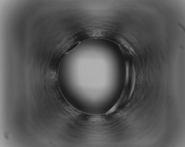 X0000091850521200709121313