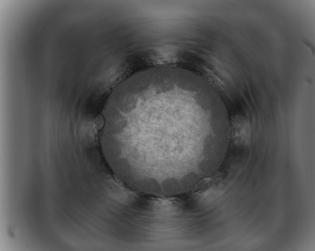 X0000091850523200709121313