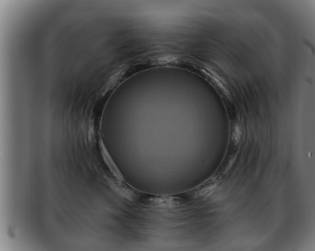 X0000091850524200709121313