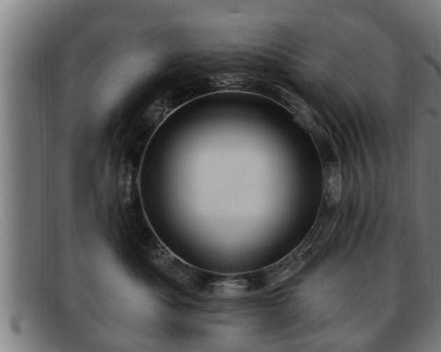 X0000091850525200709121313
