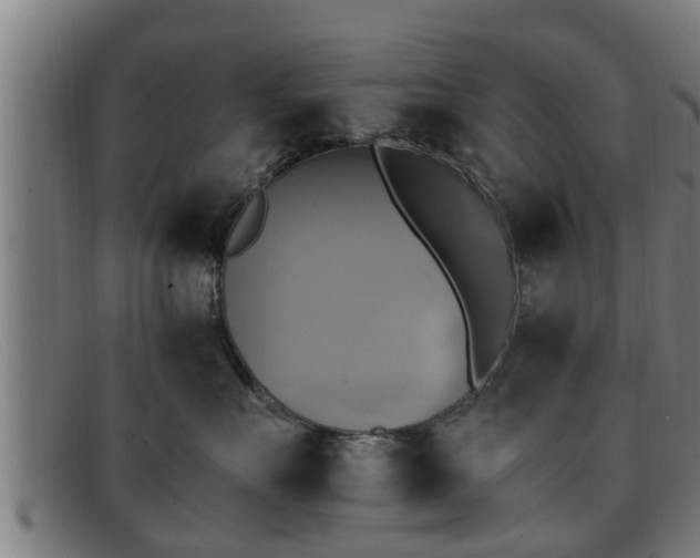 X0000091850527200709121313