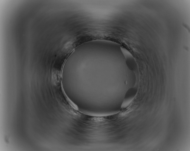 X0000091850528200709121313