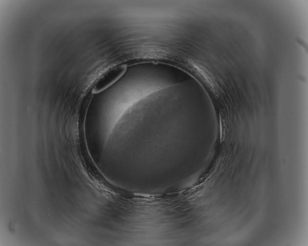 X0000091850531200709121312