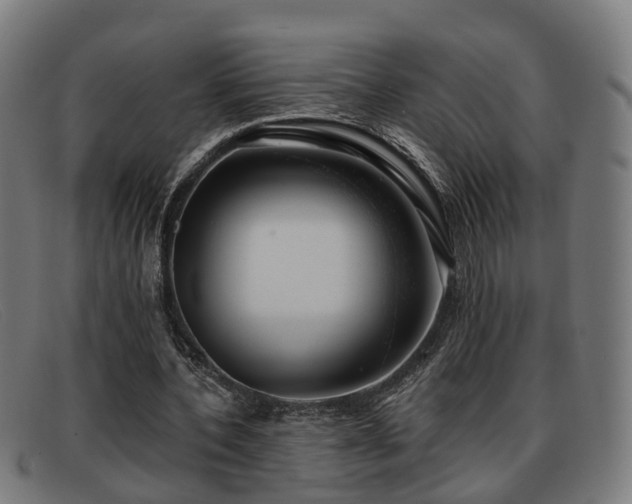X0000091850532200709121312
