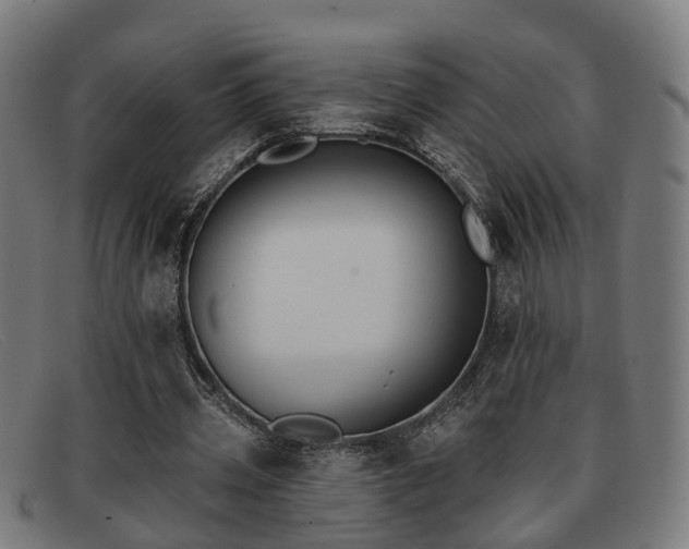 X0000091850533200709121312