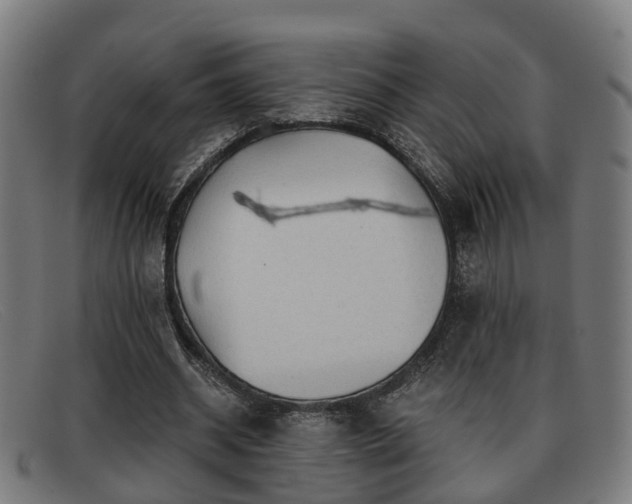 X0000091850534200709121312