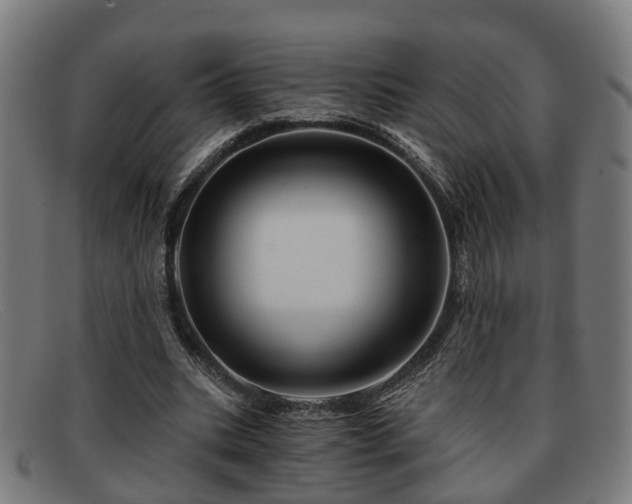 X0000091850535200709121312
