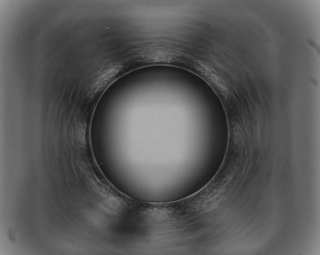 X0000091850537200709121312
