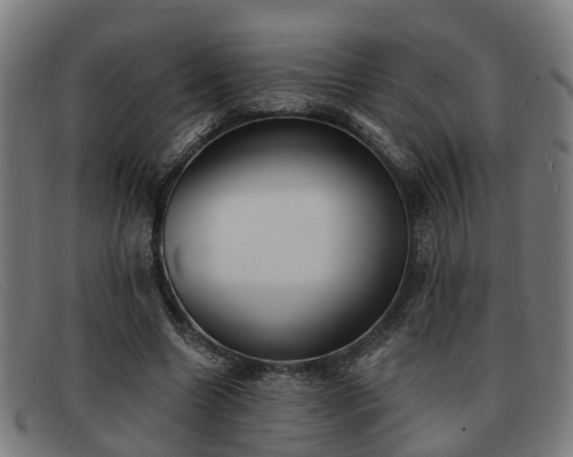 X0000091850538200709121312