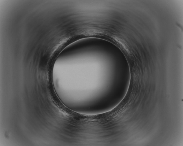 X0000091850539200709121312