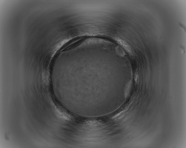 X0000091850540200709121312