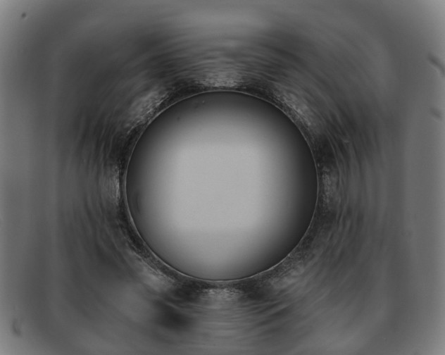 X0000091850541200709121312