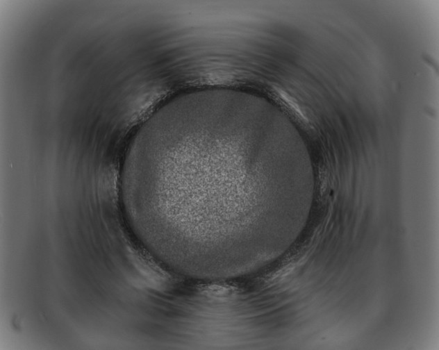 X0000091850542200709121312