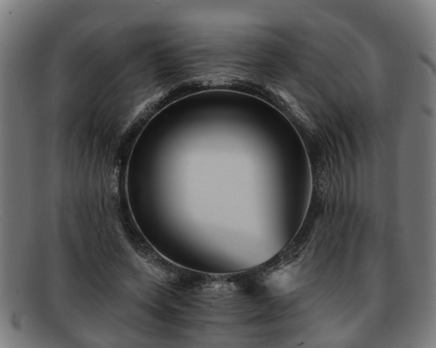 X0000091850543200709121312