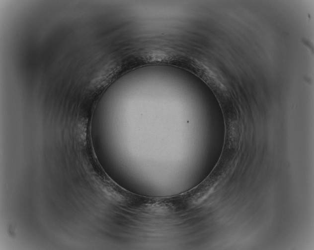 X0000091850545200709121312