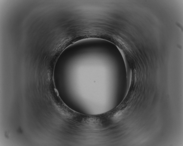 X0000091850546200709121312