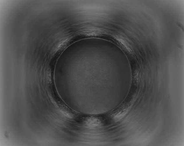 X0000091850547200709121313