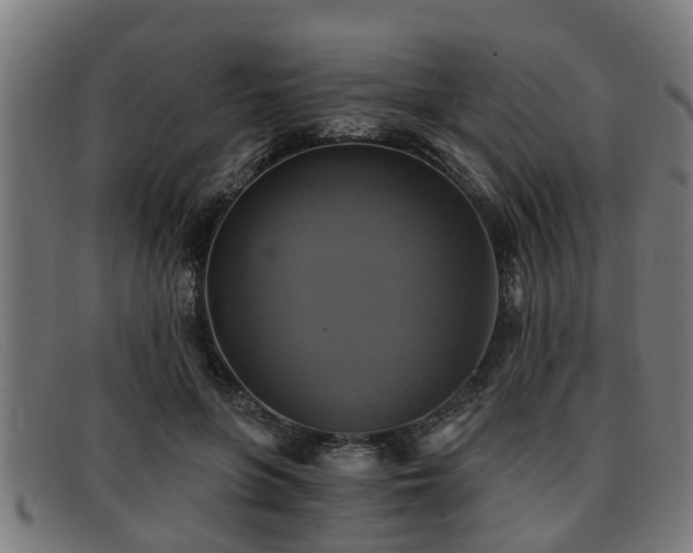 X0000091850551200709121313