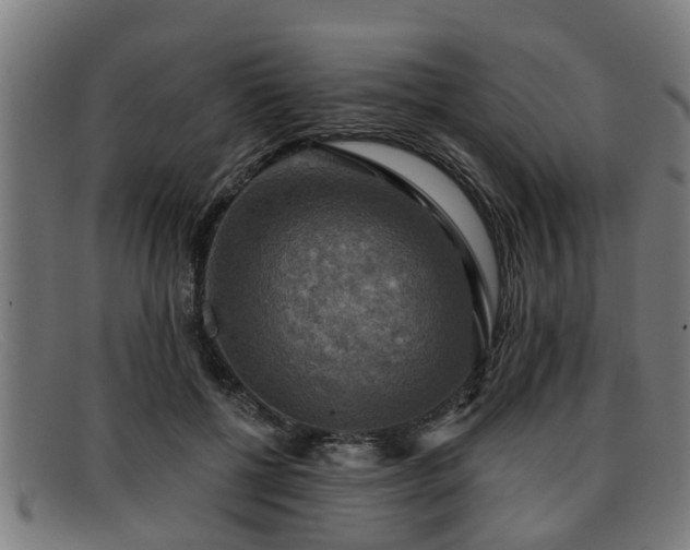 X0000091850552200709121313