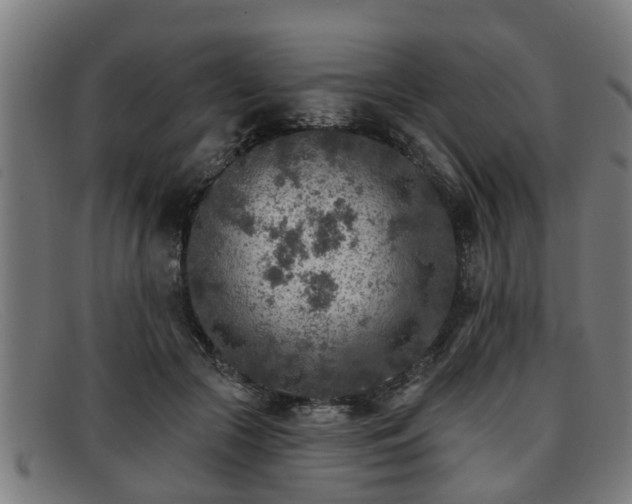 X0000091850553200709121313