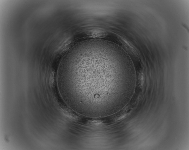 X0000091850554200709121313