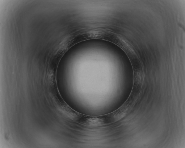 X0000091850557200709121313