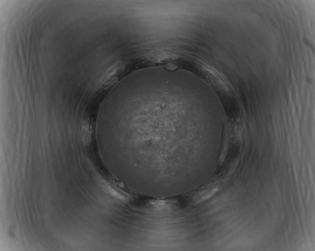 X0000091850558200709121313