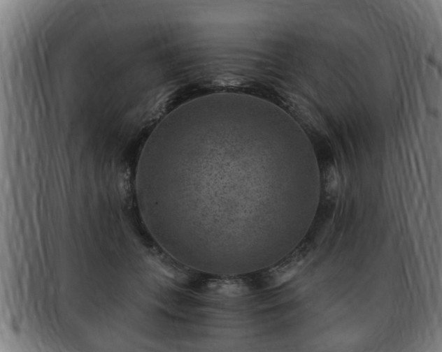 X0000091850559200709121313