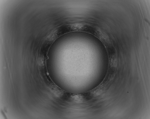X0000091850561200709121313