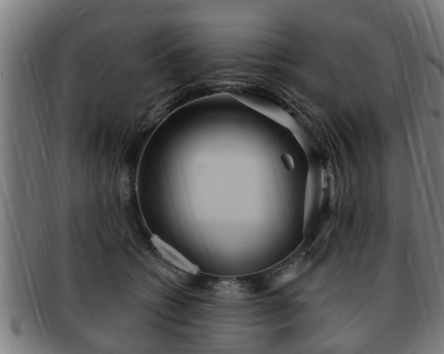 X0000091850562200709121313