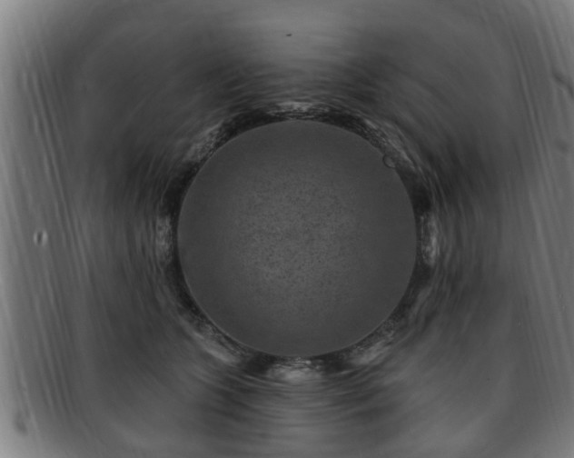 X0000091850563200709121313