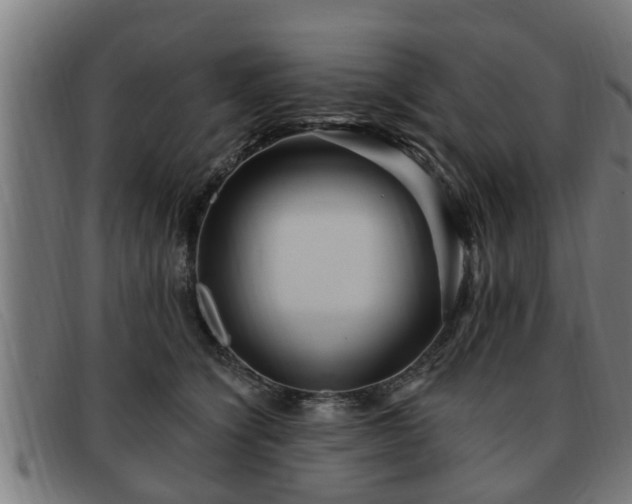 X0000091850564200709121313
