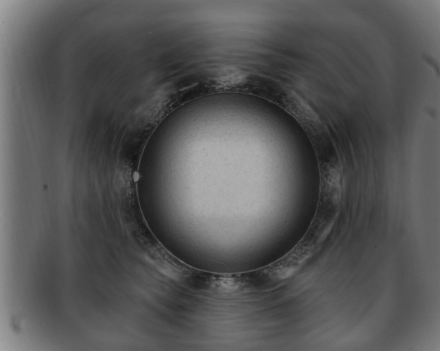 X0000091850565200709121313